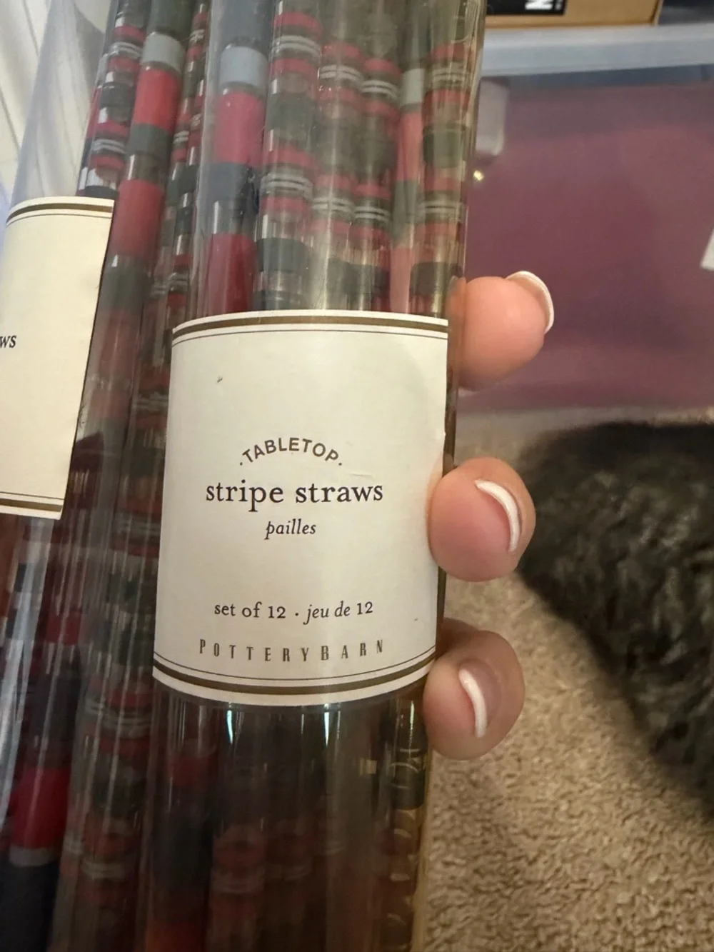 Pottery Barn Red, Blue & Gray Stripe Reusable Straws
